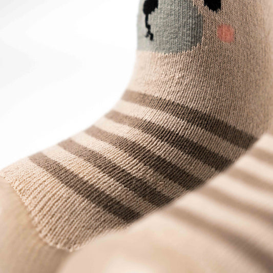 Bruine Beer – beginnersschoenen