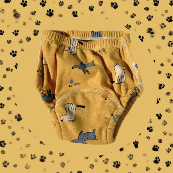 Leer- & Plastrainingsondergoed