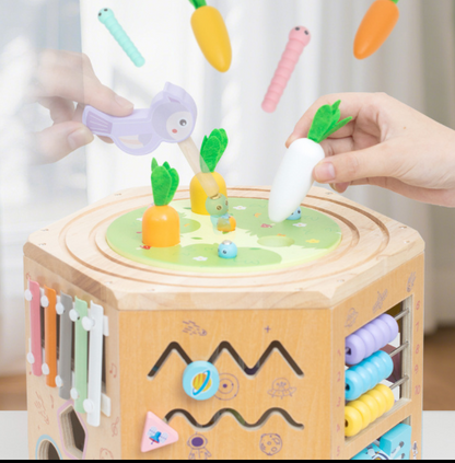 Montessori Leer- en Speelhuis van Hout